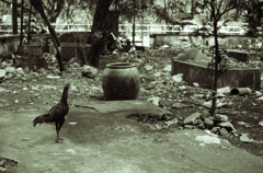 DSC_5871のコピー