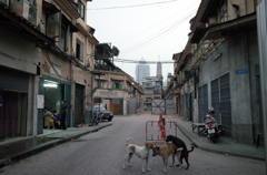 R0011466