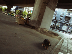 R0031778のコピー