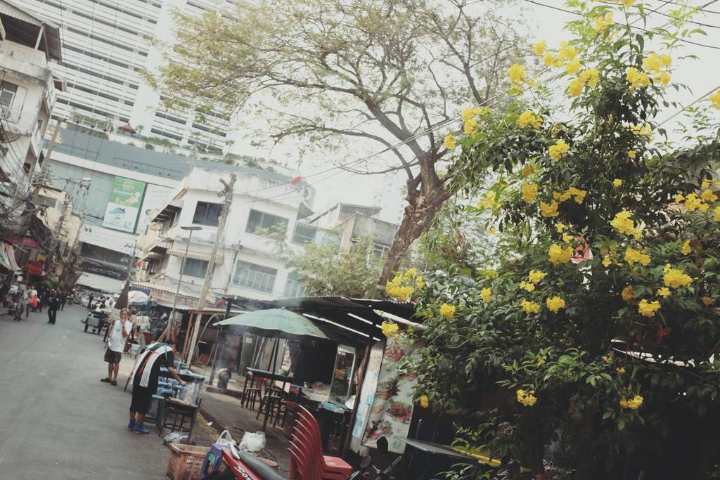 17157805_1231850320263534_14176006699346