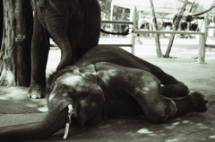 DSC_3593のコピー