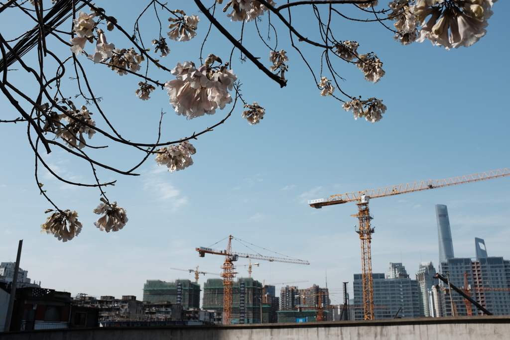 Meteor storm　DSCF5319