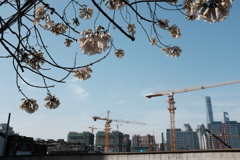 Meteor storm　DSCF5319