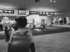 R0030114のコピー