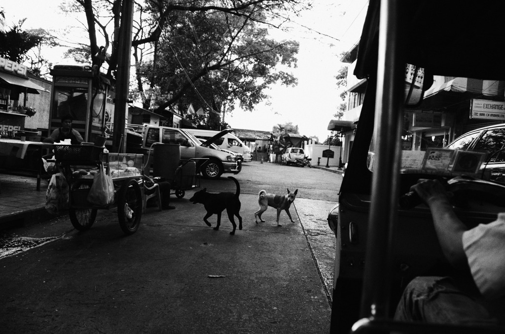 DSC_9841のコピー