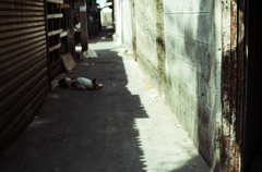 DSC_5631のコピー