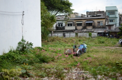 DSC_1335