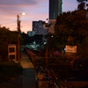 DSC_8746