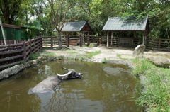 R0000059