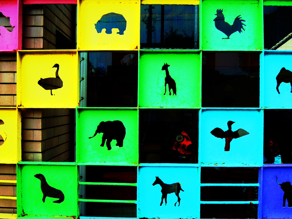 colorful　panel