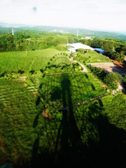 観覧車から・・・