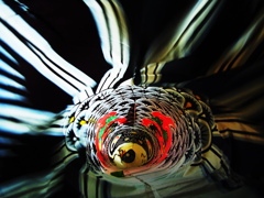 ＫＯＩＮＯＢＯＲＩ