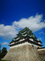 castle of Nagoya
