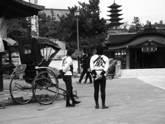 miyajima photograph　＃５