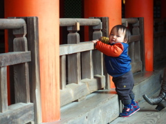 miyajima photograph　＃２