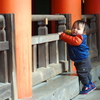 miyajima photograph　＃２
