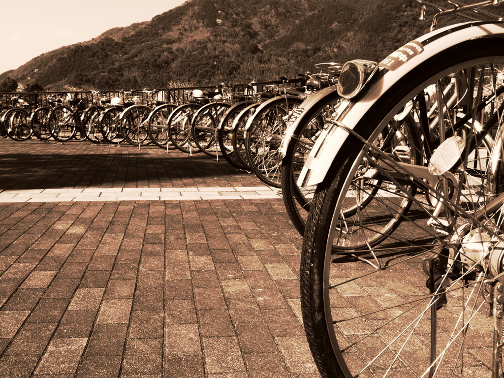 rear　tire