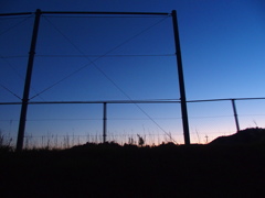 帰り道の綺麗なのに寂しい空