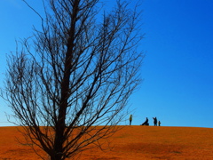 丘の上の風景