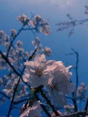 空に