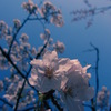 空に