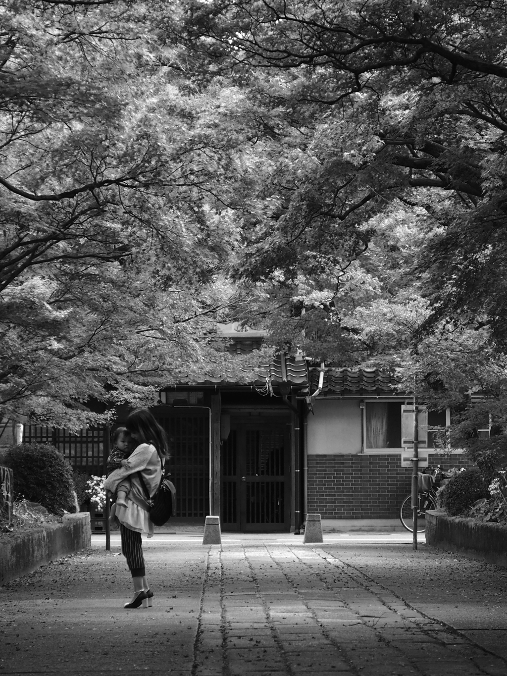 Approach to Shrine
