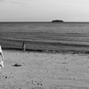on the beach