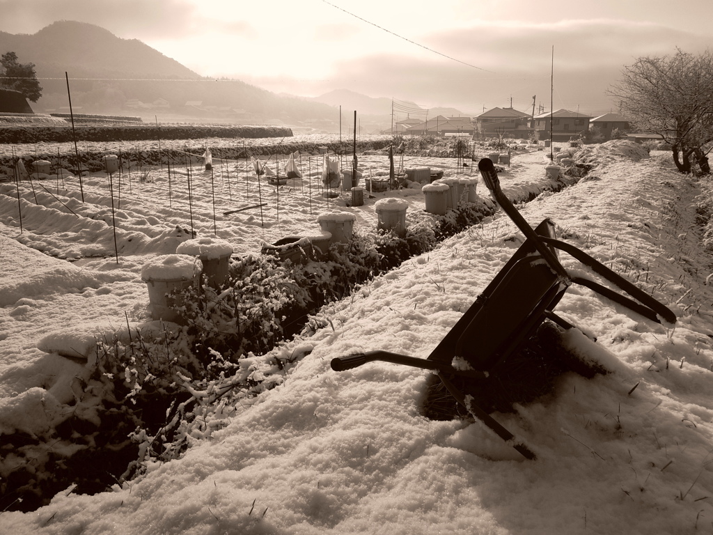新雪