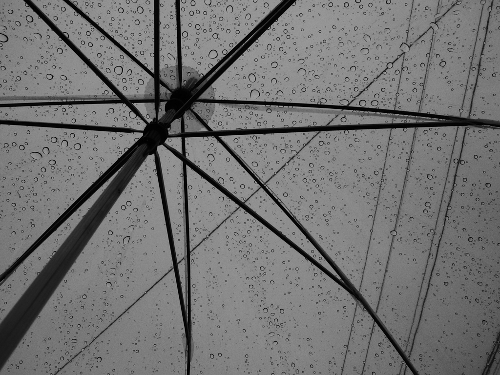 雨の音