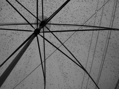 雨の音
