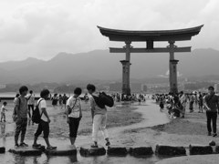 photograph of Miyajima 10