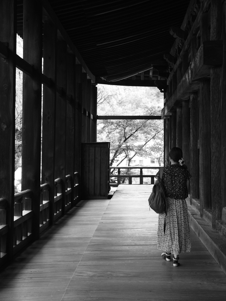 photograph of Miyajima 5