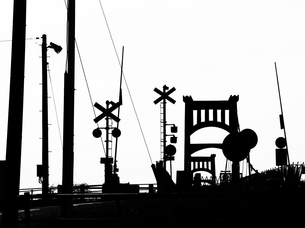 白と黒が作り出す世界。