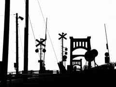 白と黒が作り出す世界。