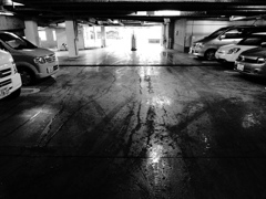 雨と立駐とタイヤの跡