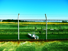fence