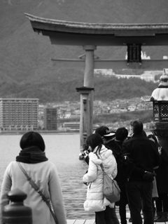 miyajima photograph　＃３