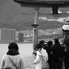 miyajima photograph　＃３