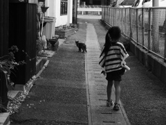 縮まらない距離と猫と私