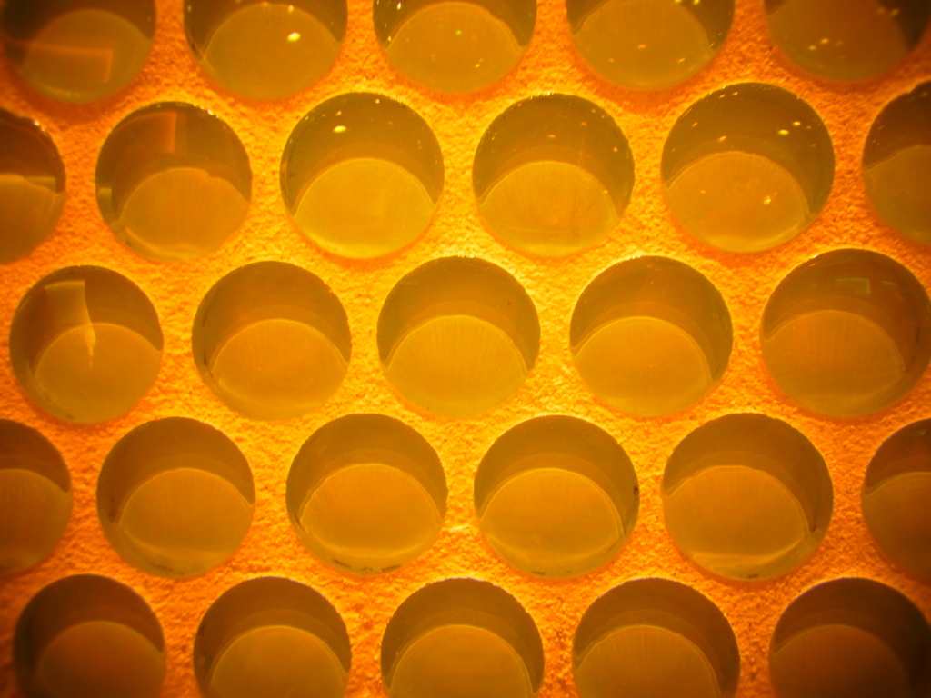 wall
