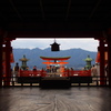 miyajima photograph　＃１
