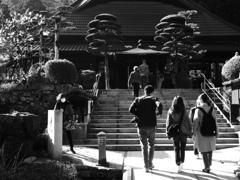 懐古の情に触れながらⅡ・・・・・
