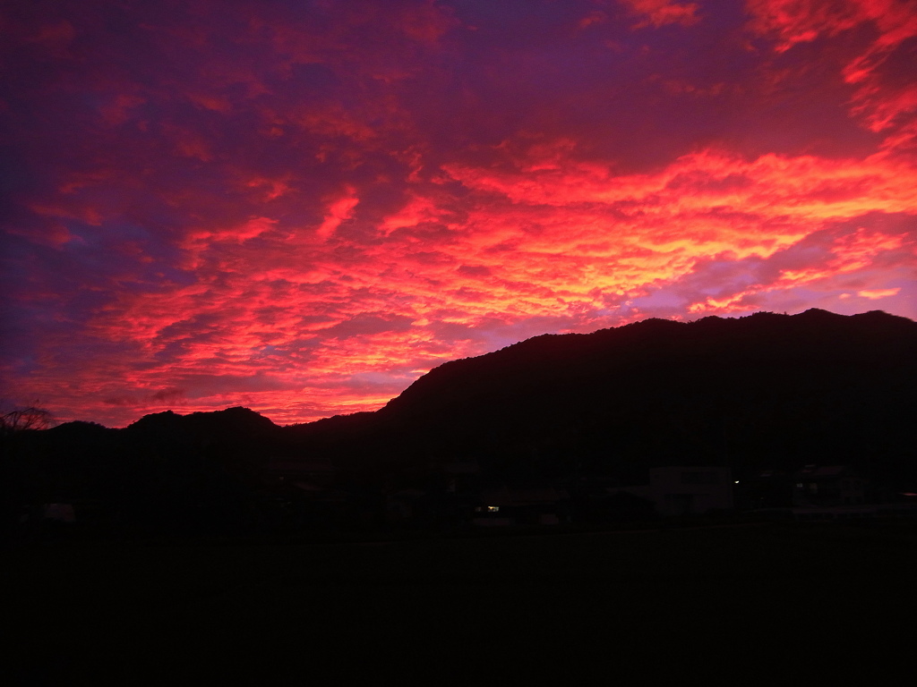 redsky