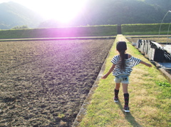 わたしの好きな道・・・・