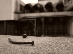 寂しく横たわる・・・・