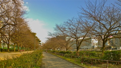 南天魔公園