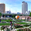 中之島公園バラ園