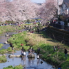 お花見楽しそう