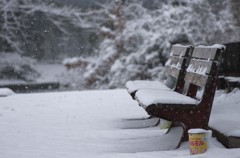 雪の平和の森公園２