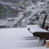 雪の平和の森公園２
